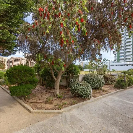 Apartment Clube Mar Flat T1 *